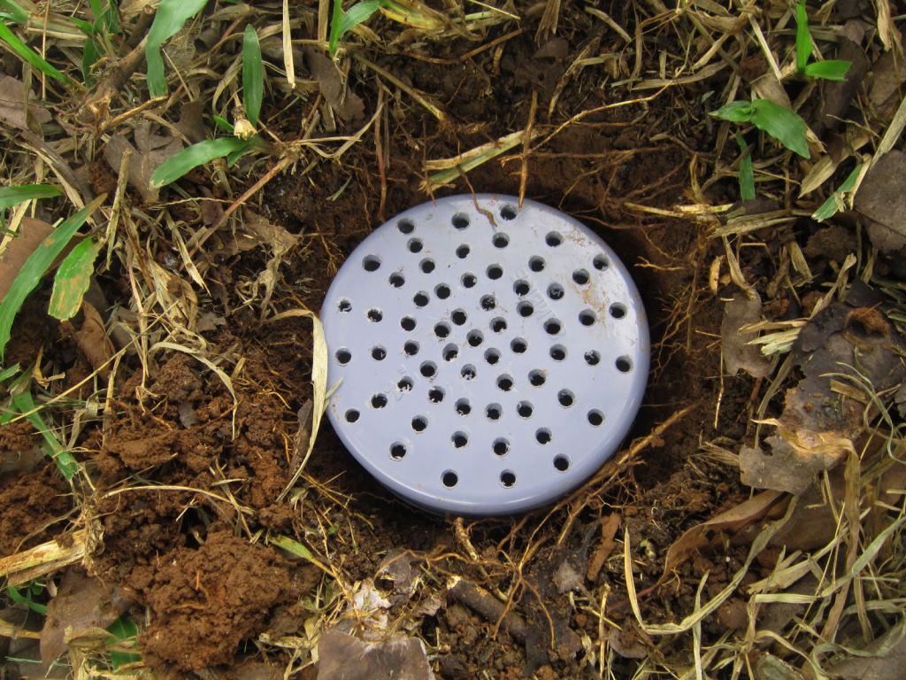 Pembuatan Biopori: Solusi Sederhana untuk Mengatasi Masalah Genangan Air